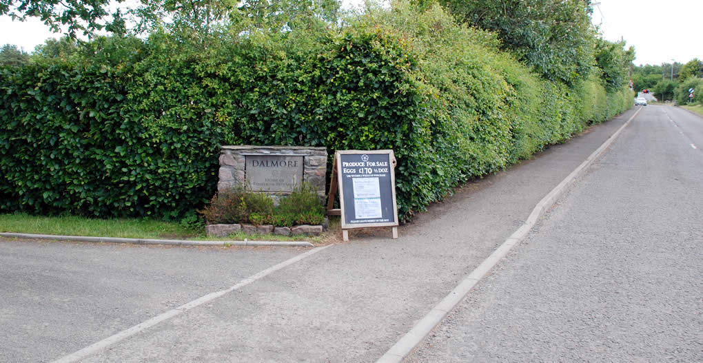 Entrance to Dalmore