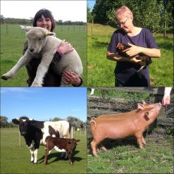 Introduction to Smallholding course
